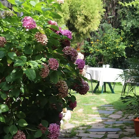 Kralev Dvor Μπάνσκο