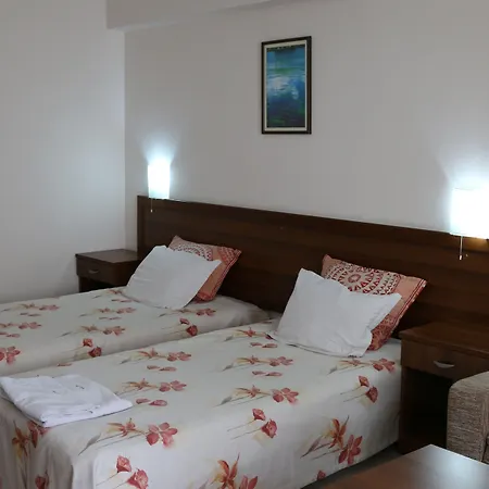 ホテル Kralev Dvor バンスコ